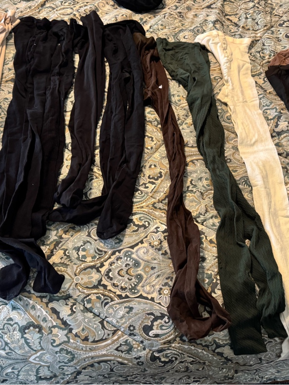 Assorted Women's Tights and  Hosiery Pack - Black, Brown, Green, Ivory